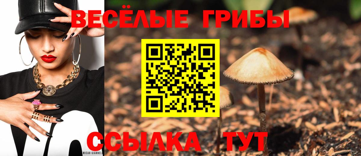 Междуреченск  Псилоцибиновые грибы ЛСД  Вход с VPN 